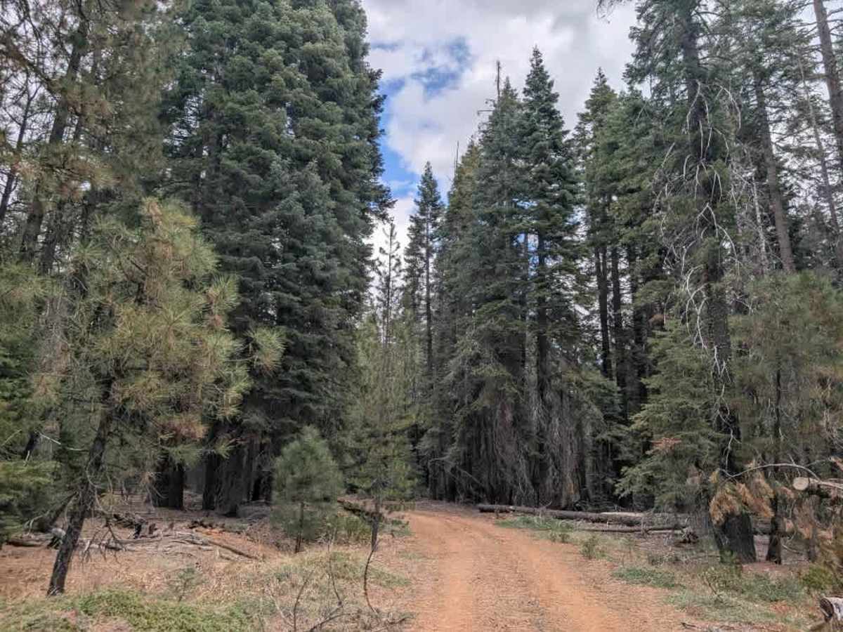 FS 30N46 trail photo