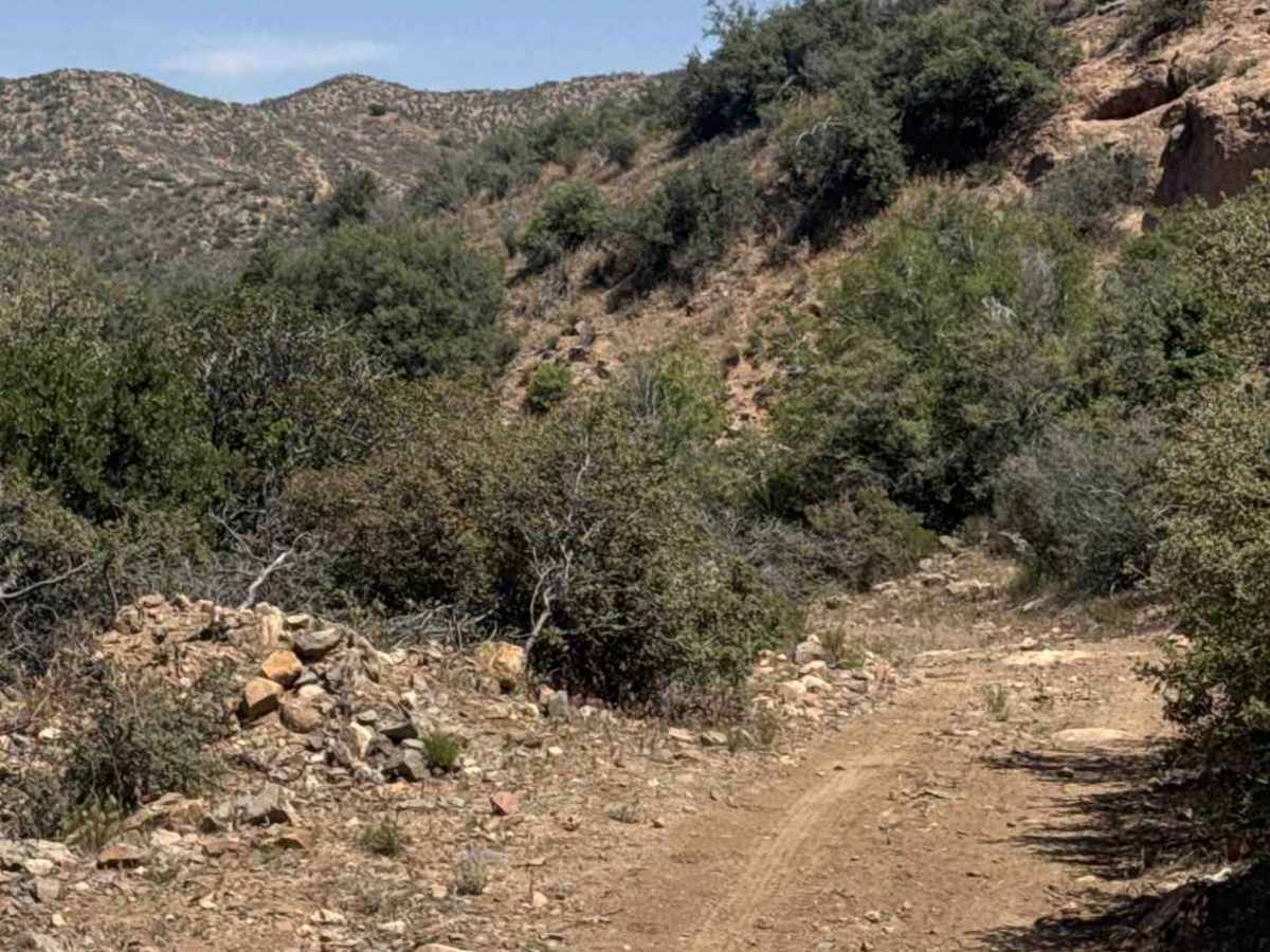 BLM 30022 photo 2