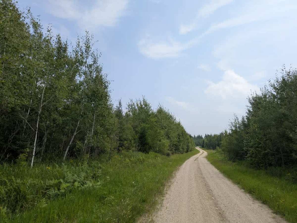 Biondich Road trail photo