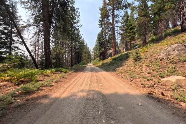 Tamarack Creek - FS 9s066