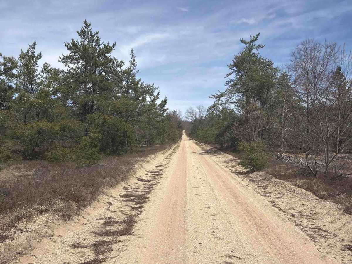 Bucks East & West Truck Trail photo 3