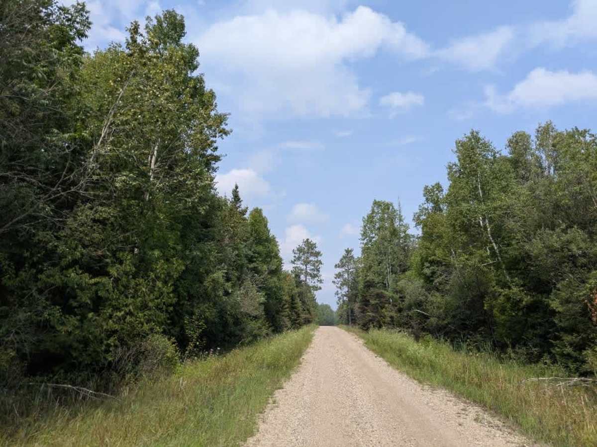 Haney Road trail photo