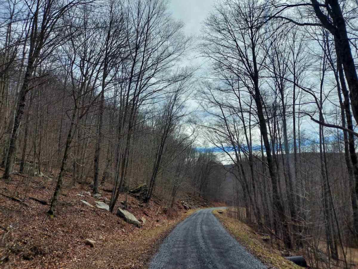 Straight Creek Road  photo 2