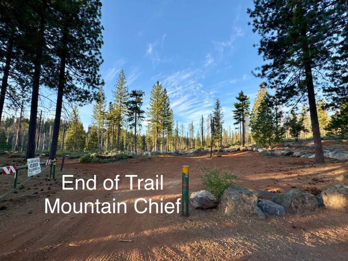 Mountain Chief - FS 10-006 photo 5