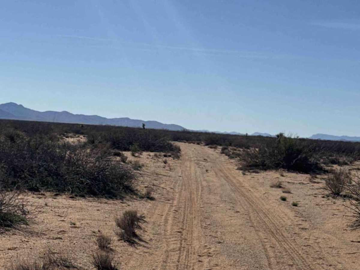 Rosewood Road  photo 3