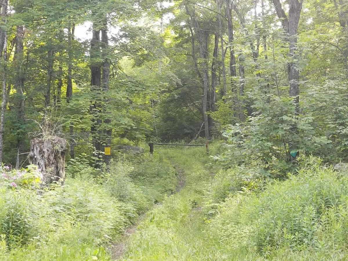 Brown Schoolhouse Road  photo 5