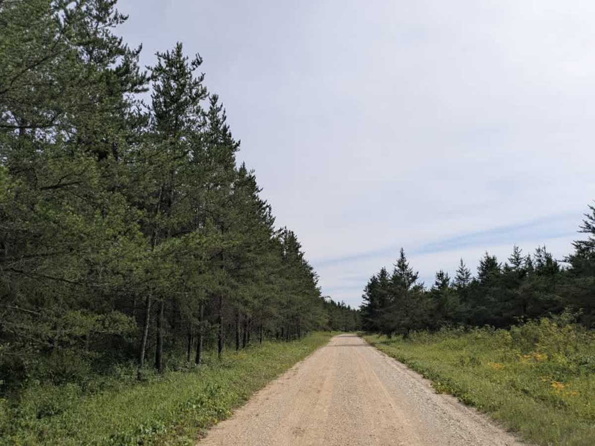 Krull Trail photo 3