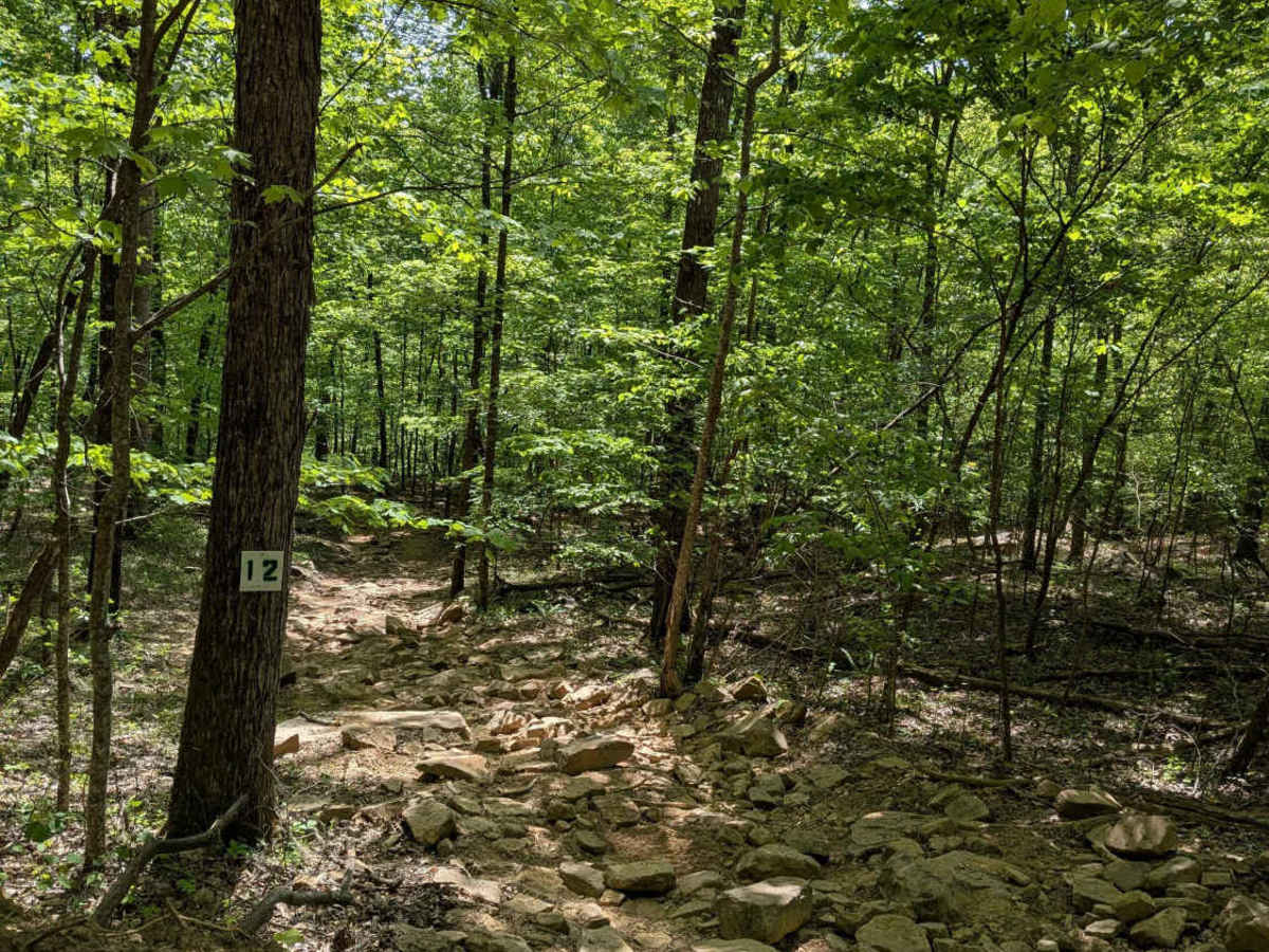Trail 12 trail photo
