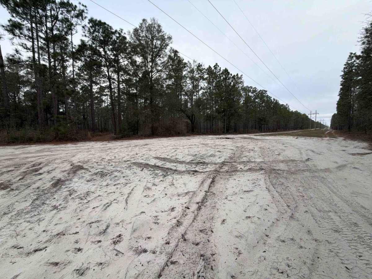 Powerline East - FS 300-C photo 5