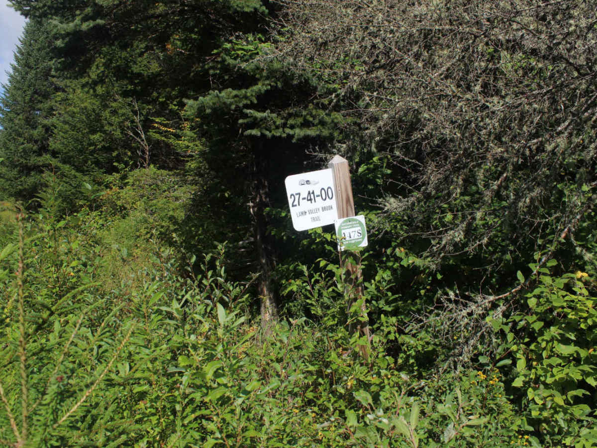 Lamb Valley Brook Trail trail photo