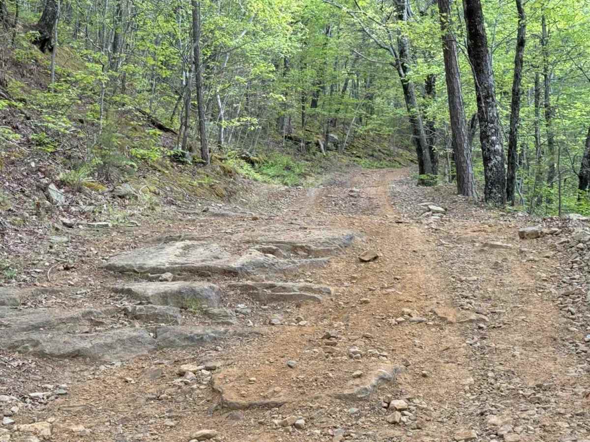 Dale trail photo