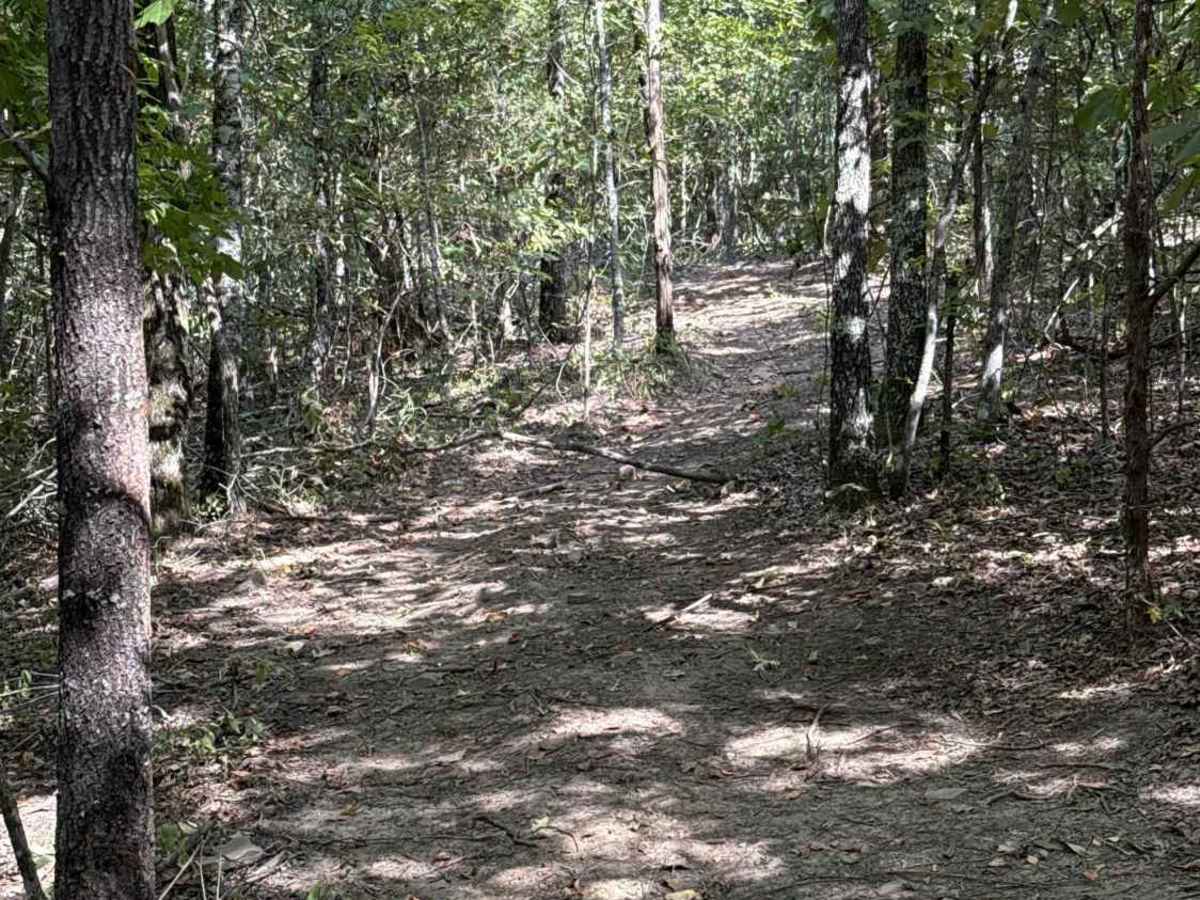 Nalu Run trail photo