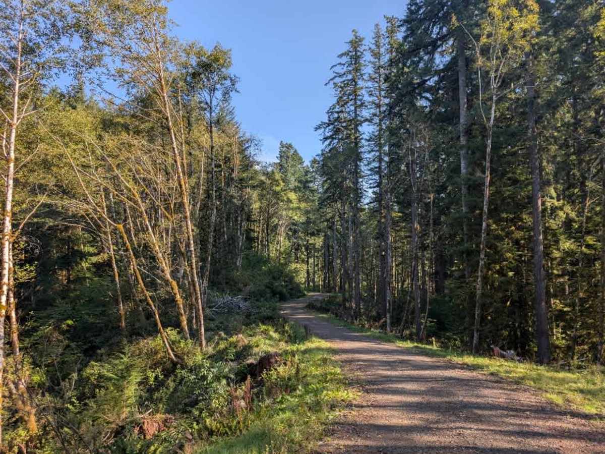FS 5840624 trail photo