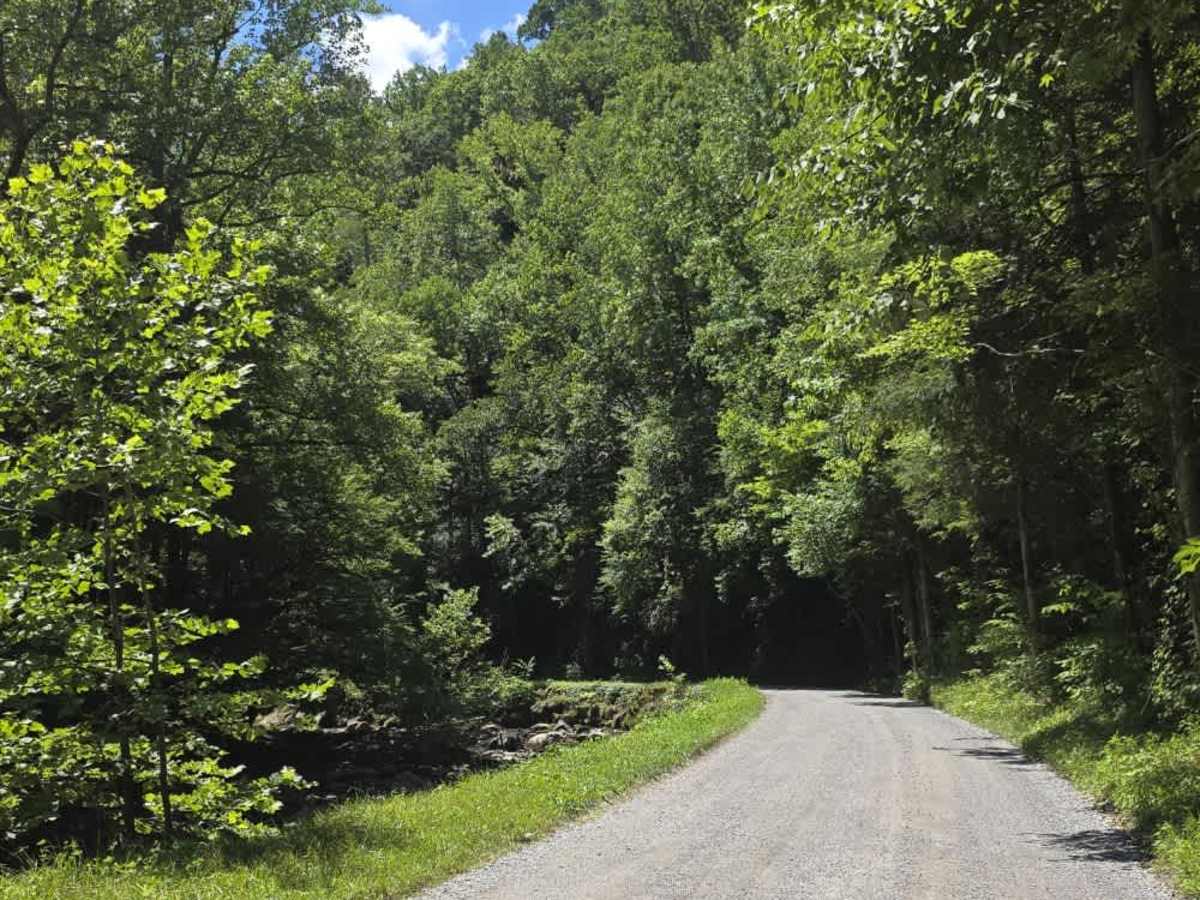 Upper Tremont Road trail photo