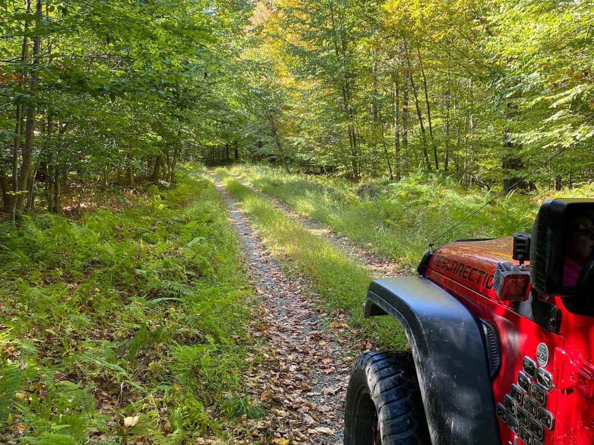 Loggers Trail photo 4