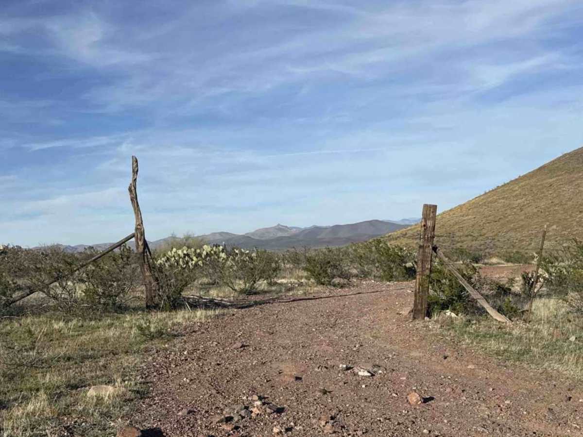 Ss1103 photo 5