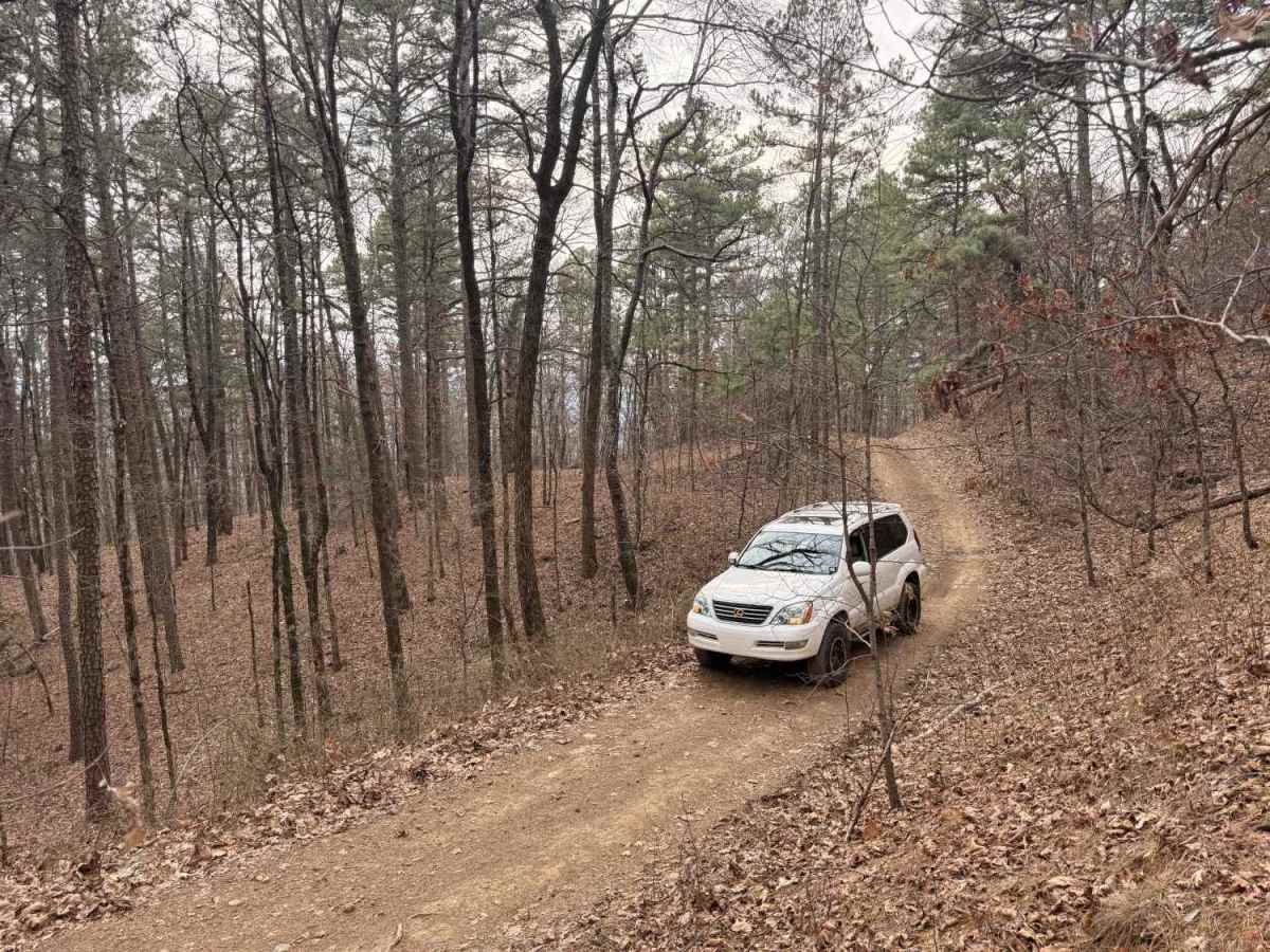 Bull Springs trail photo