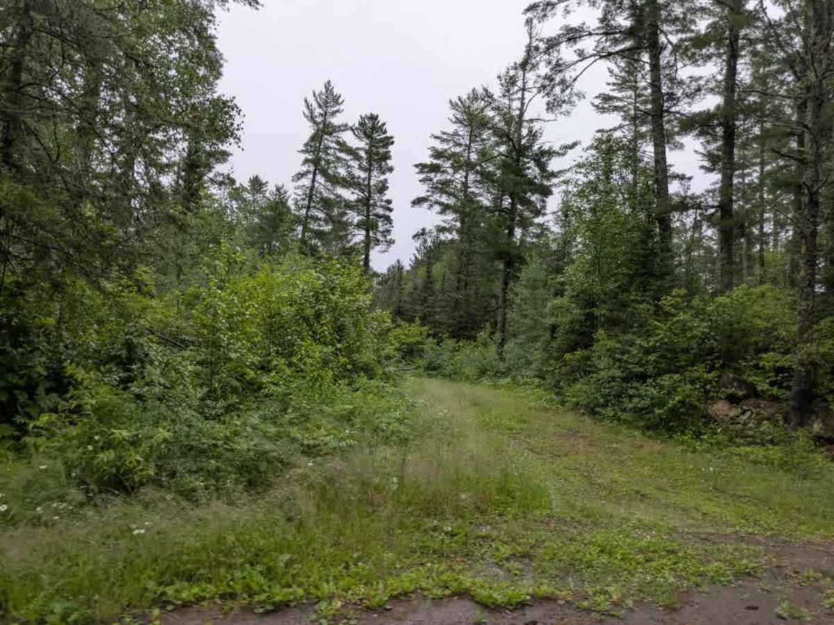 Sawbill Trail photo 5