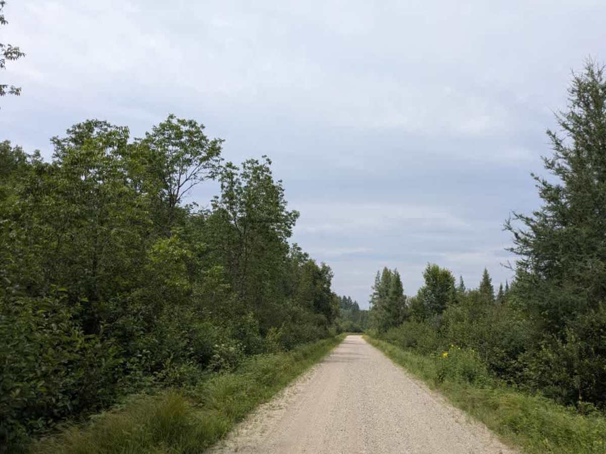 FS 493 photo 3