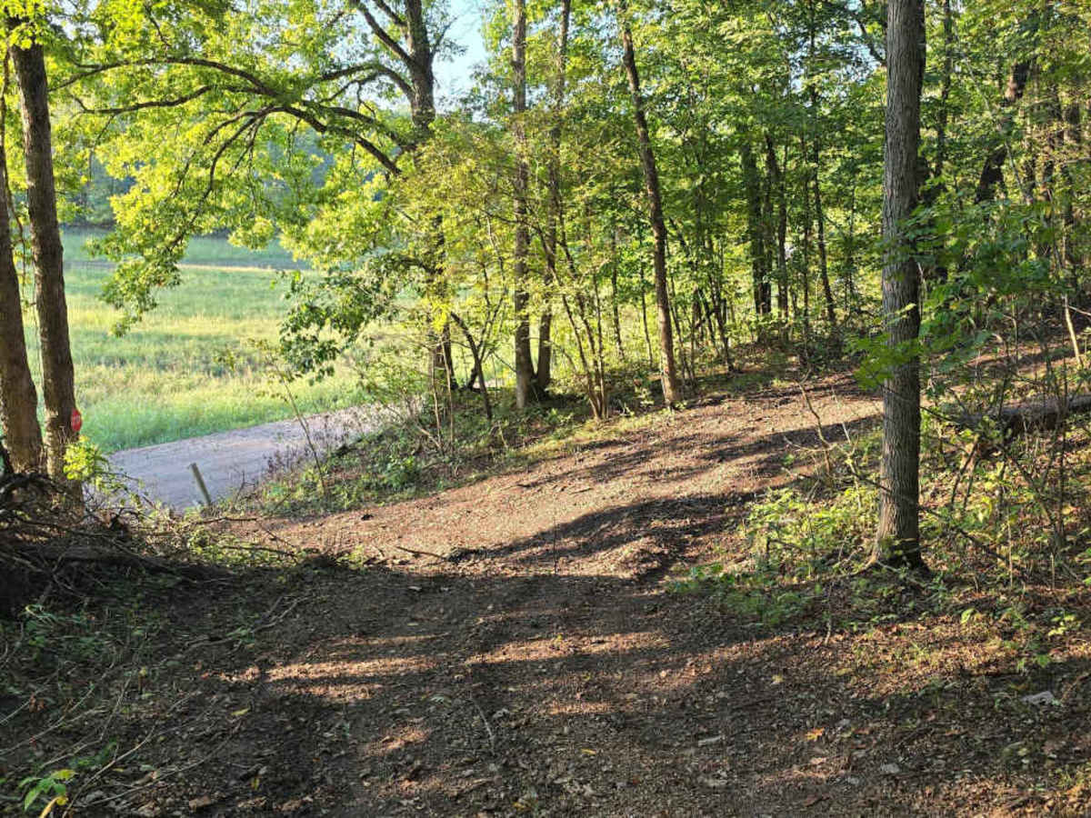 Little Gravois Creek North Trail photo 2