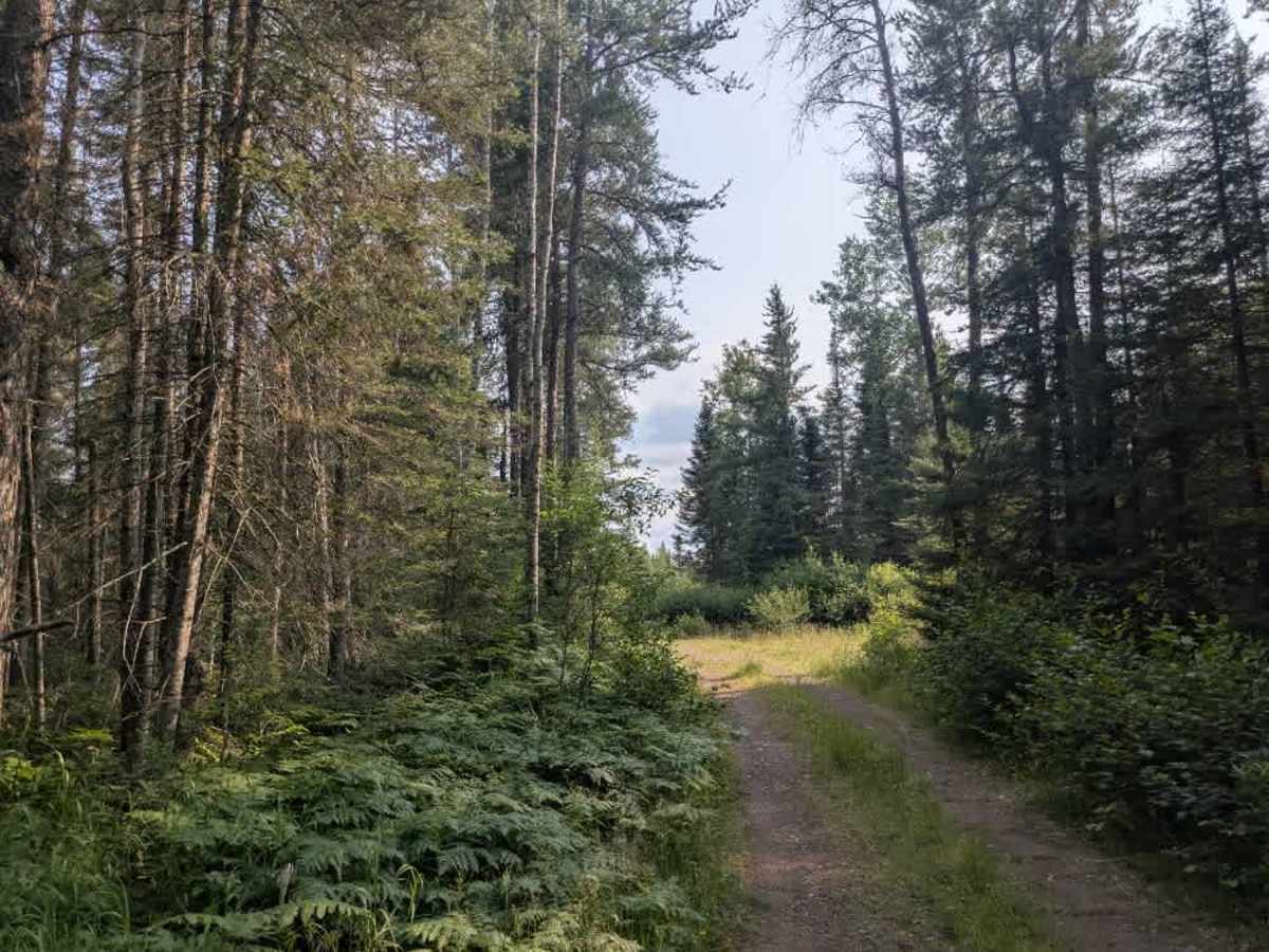 Folly Creek trail photo