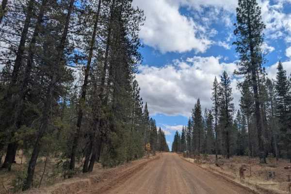 Bridge Creek Springs Road