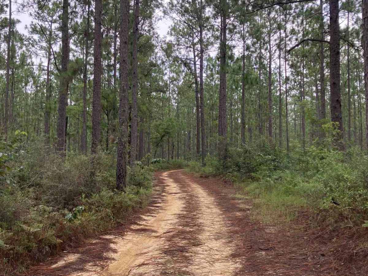 R52 photo 3