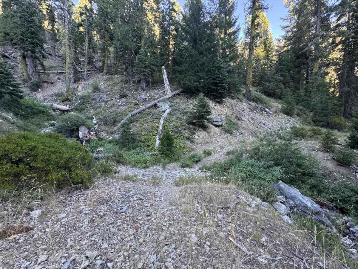 Cooper Meadow - FS 40N76 trail photo