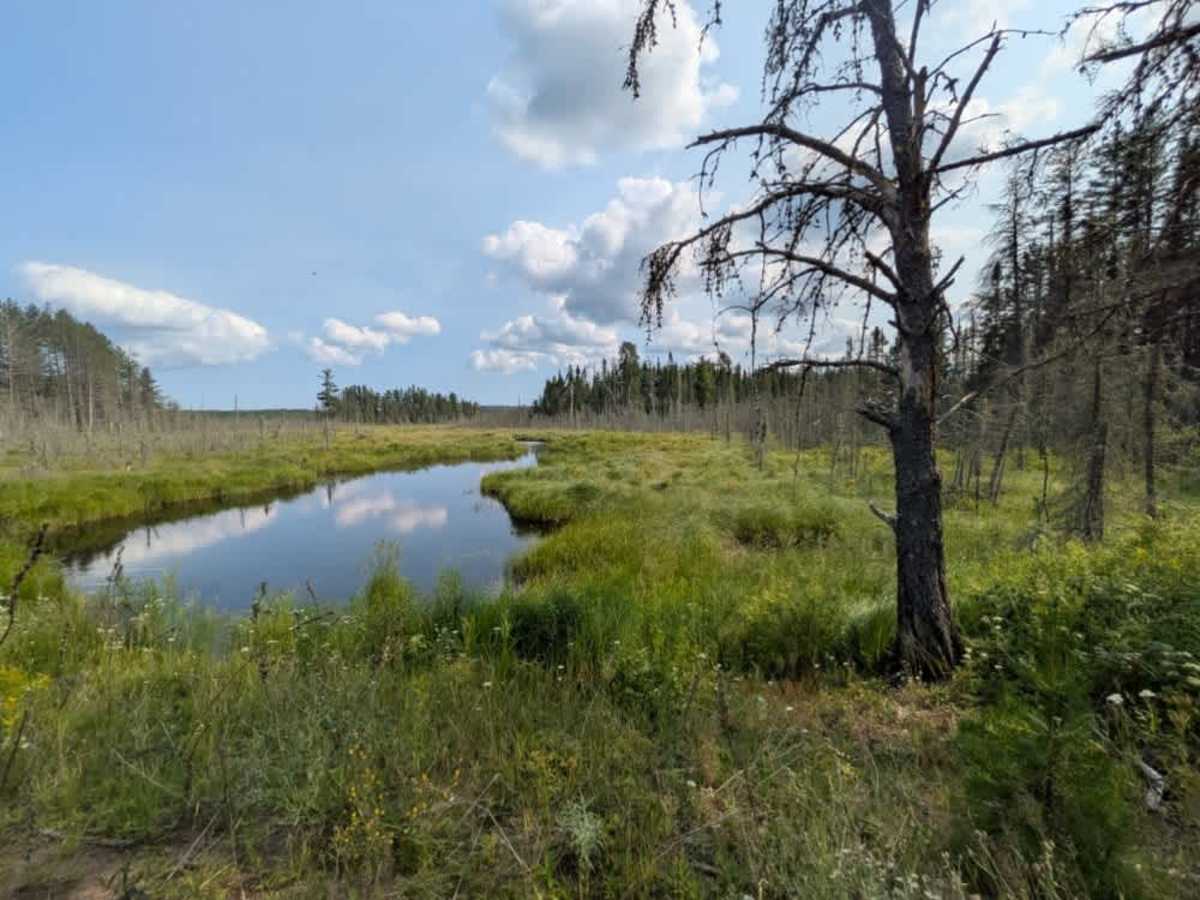 Plum Lake photo 2