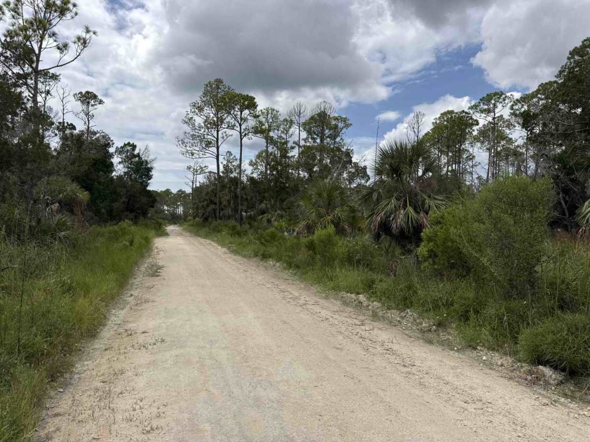 Salt Creek Road photo 4