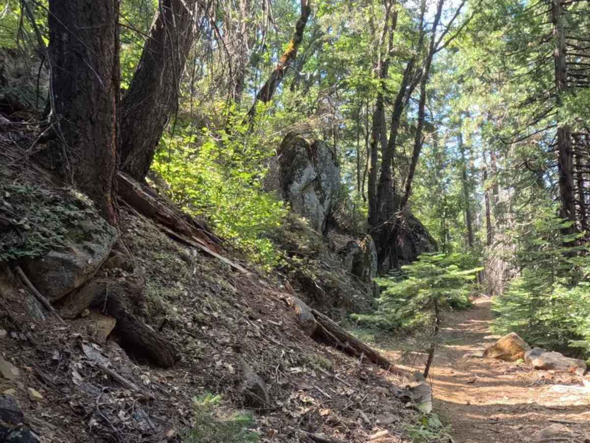 Grant Grade Tollroad II - FS 5S020X photo 5