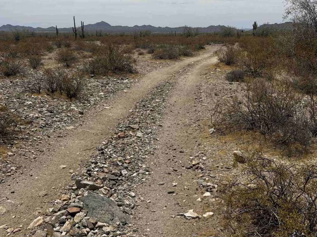 Creosote Run photo 4