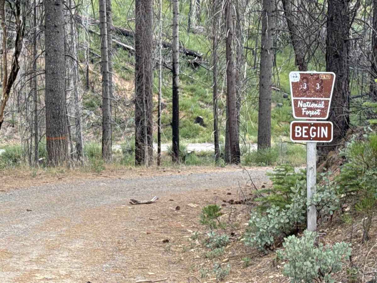 Peavine - FS 33 trail photo