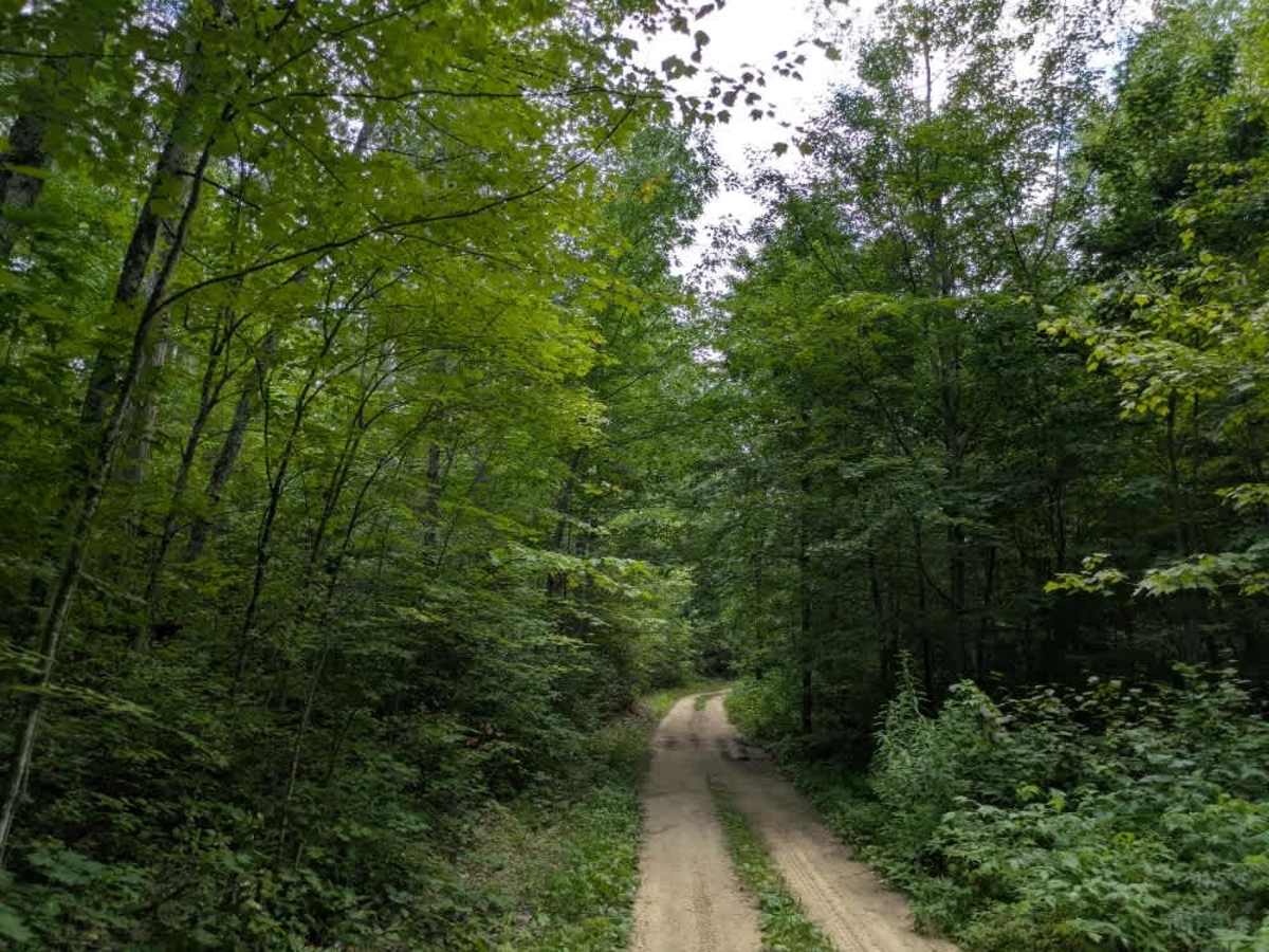 3705 trail photo