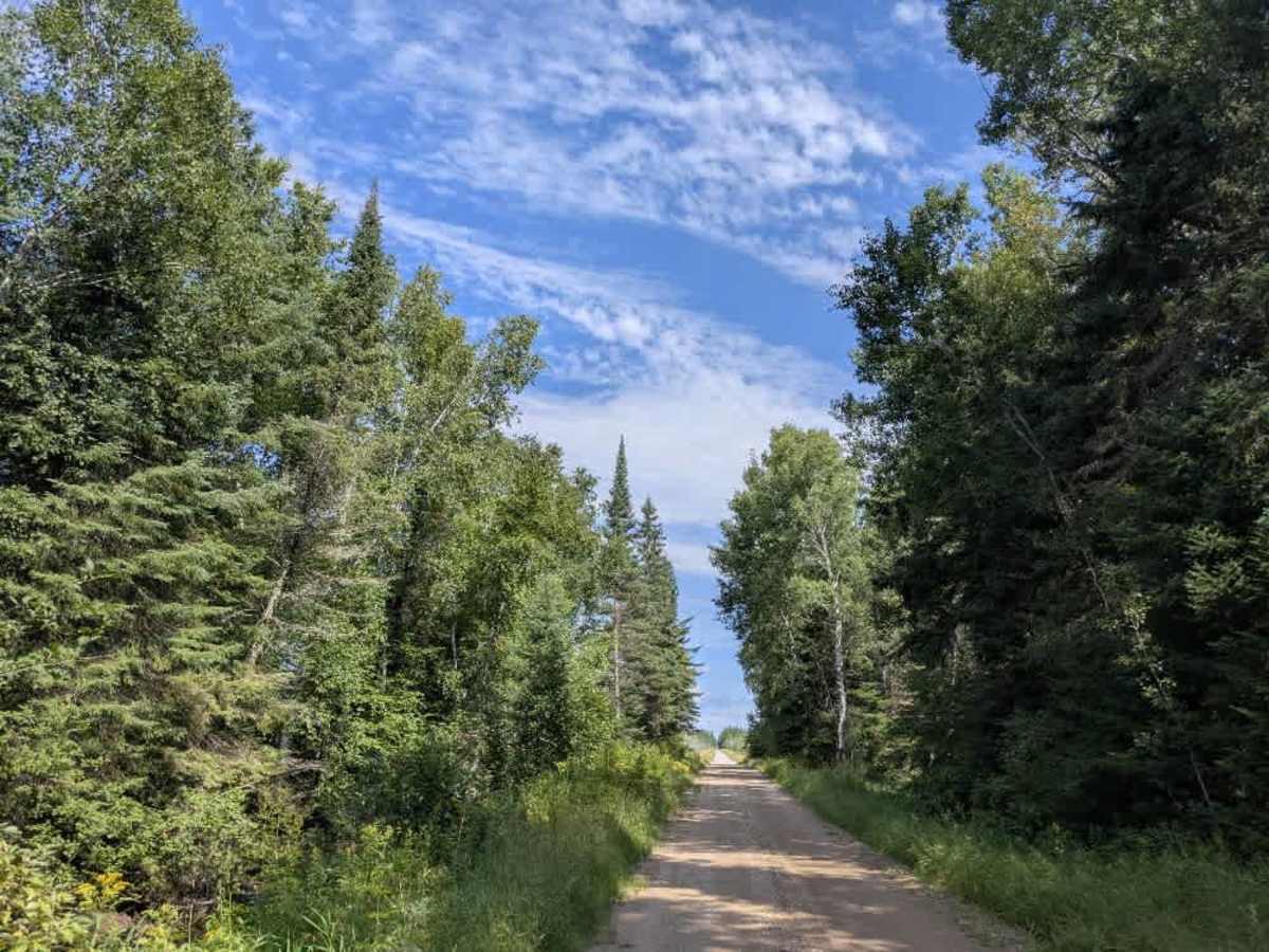 Faunce Forest Road trail photo