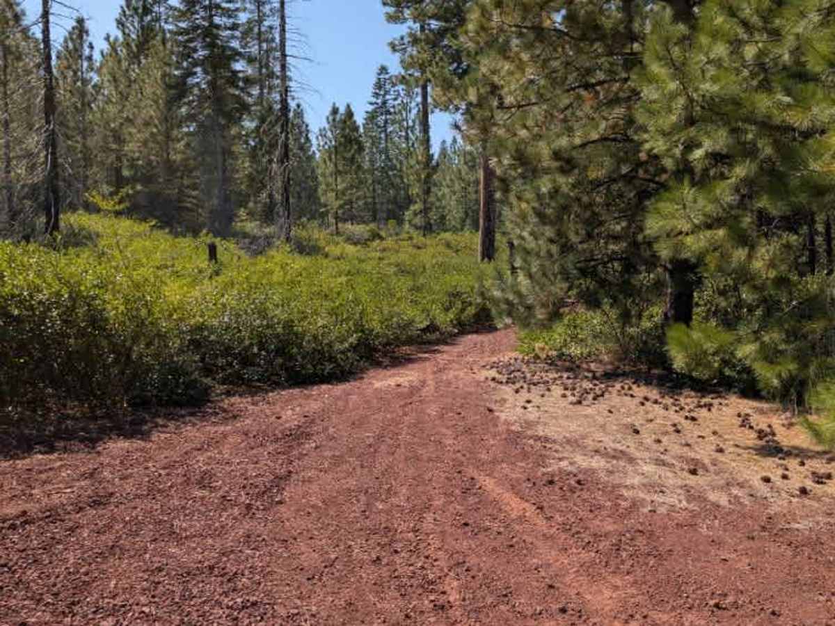 FS 1520500, Oregon | Off-Road Trail Maps, Difficulty, Trail Status ...