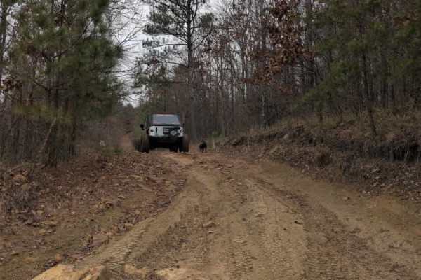 #32 Gobbler's Cutoff
