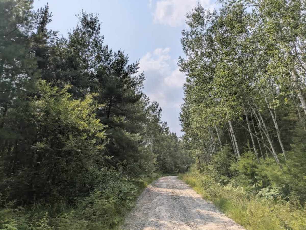 Gold Mine Road  photo 3