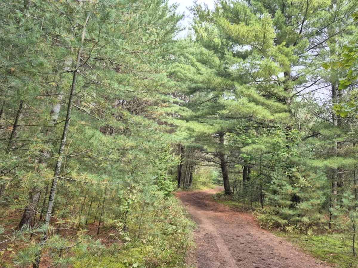 Shortcut Road photo 5