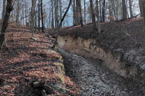F10 Rock Fink Ravine Part Deux