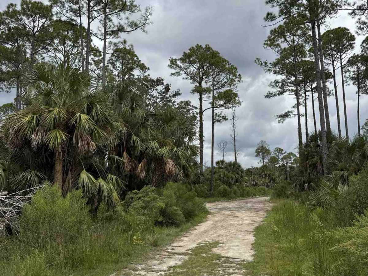 Salt Creek Road photo 3