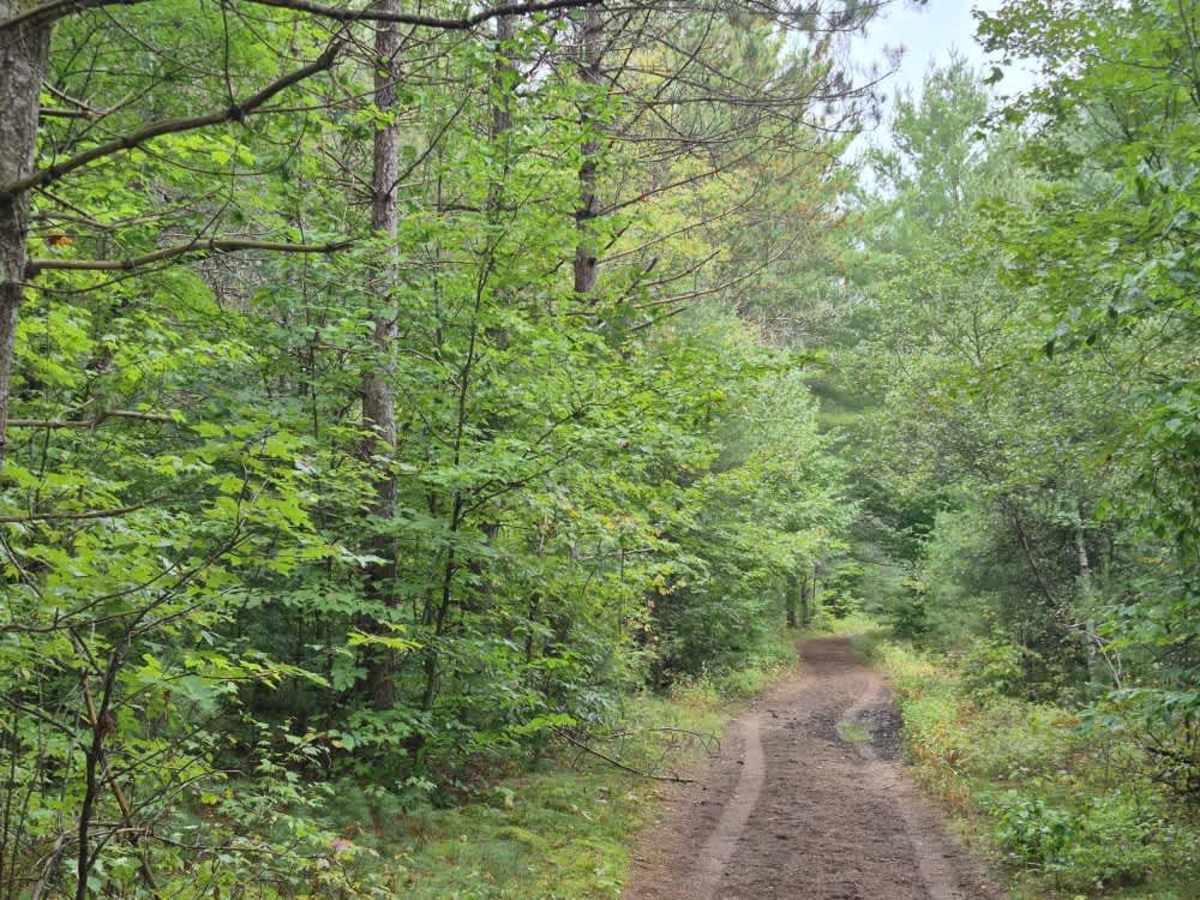 Shortcut Road photo 3