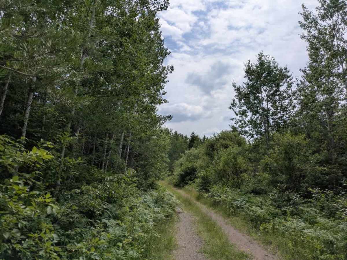 Tomlinson Lake Trail trail photo