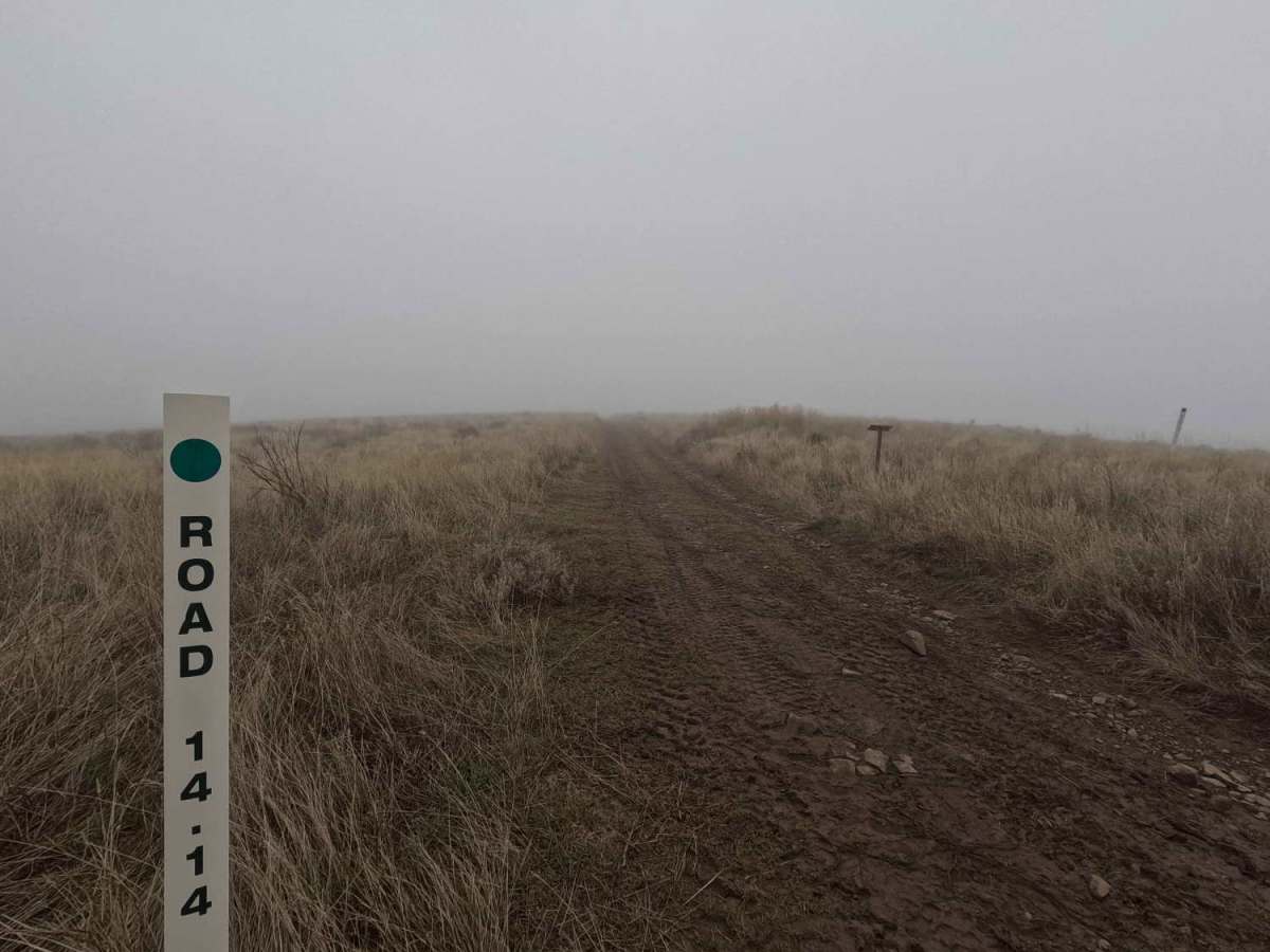 Road 14.14 trail photo