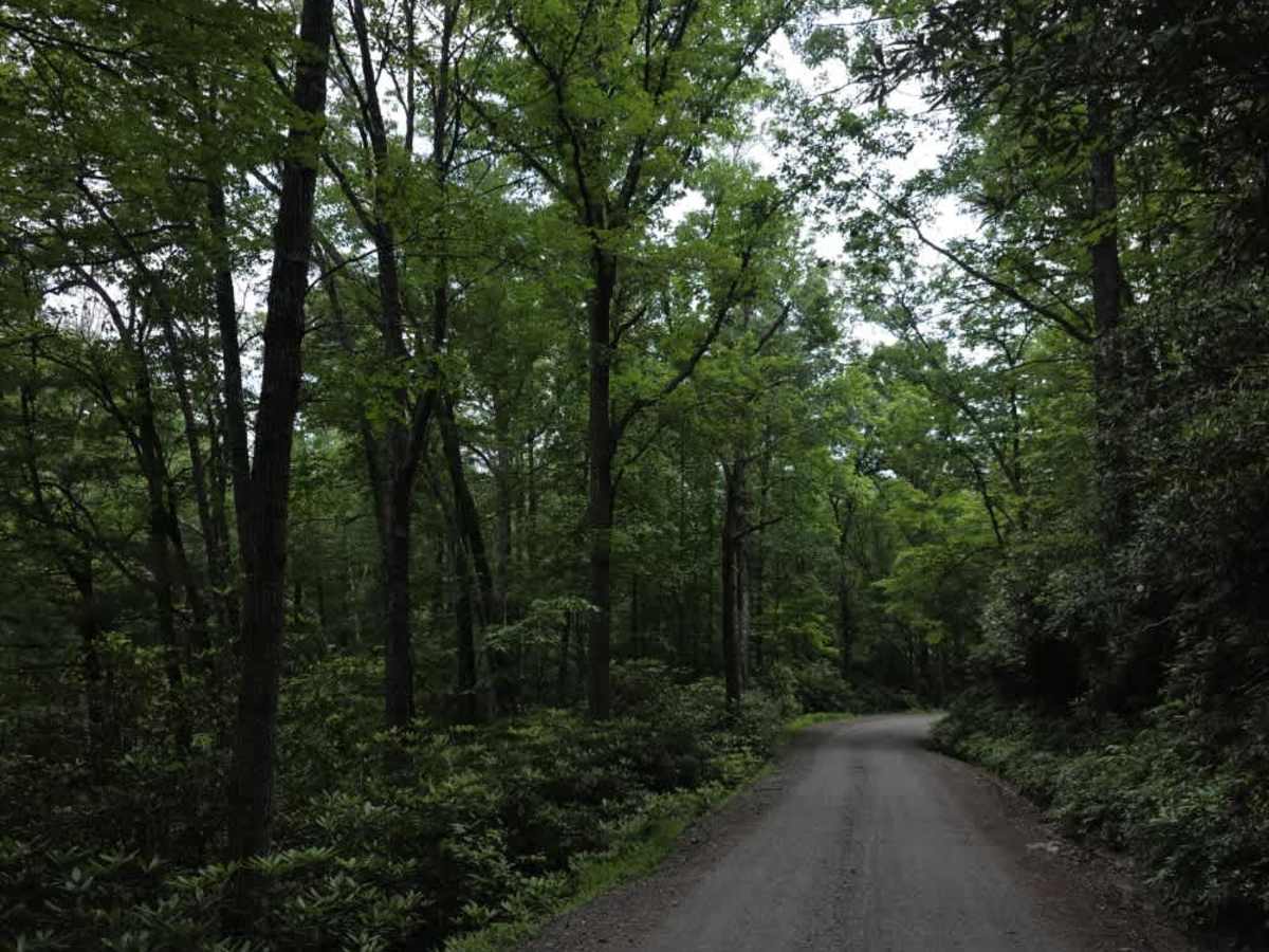Doe Branch Road photo 6