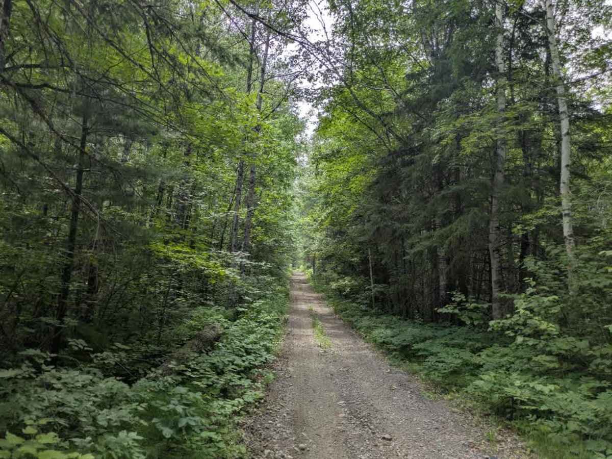 Kelly Lake  photo 6