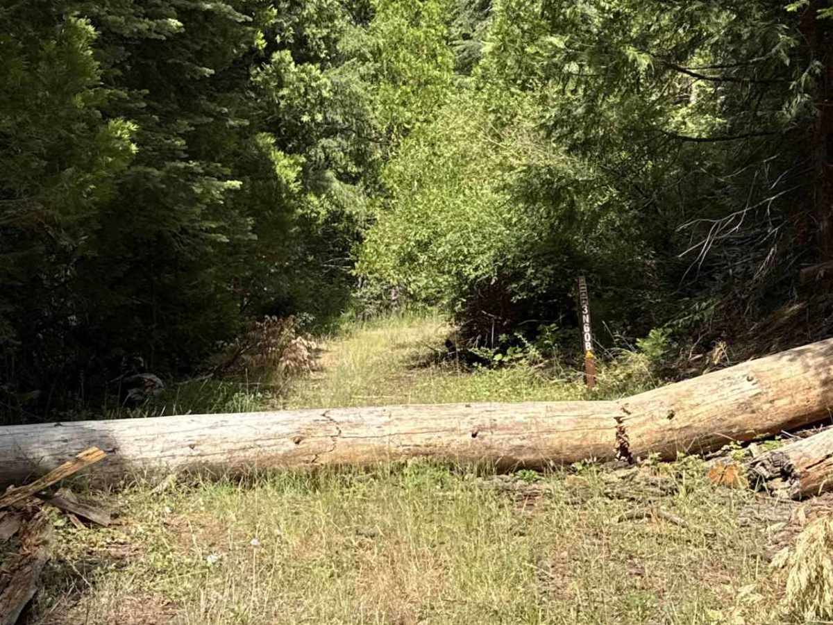 FS 3N60 trail photo