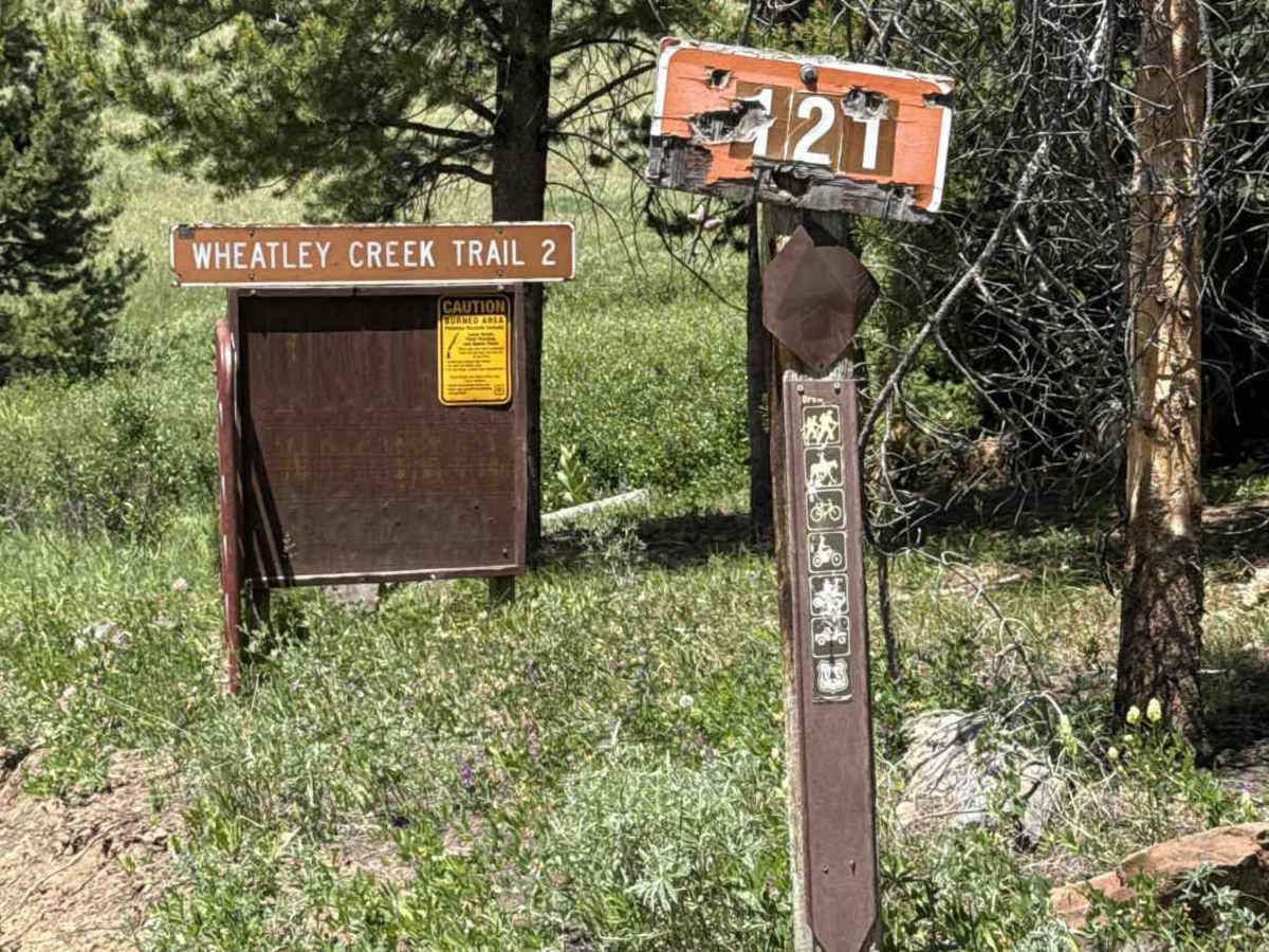 Dirty Bird Spur Road - 121 photo 3