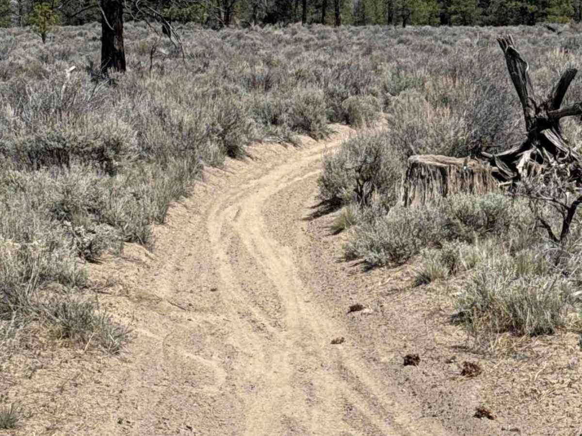 East Fort Rock - OHV Trail 10 photo 5