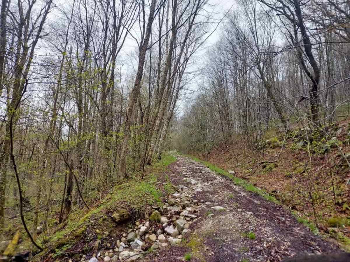 Middle Ridge Road photo 2